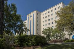 Dr. Francisco Paez-Cruz