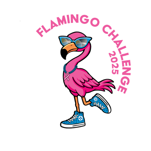 Flamingo Challenge graphic with a pink flamingo